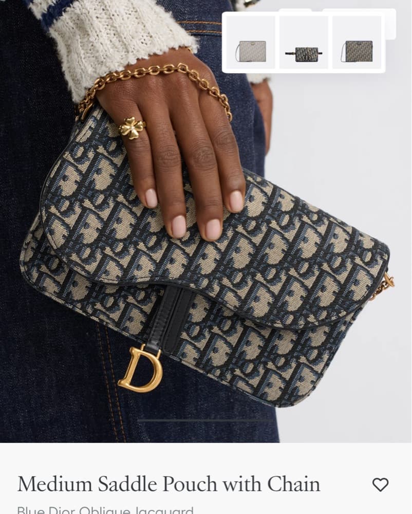Medium Saddle Pouch With Chain - Image 2