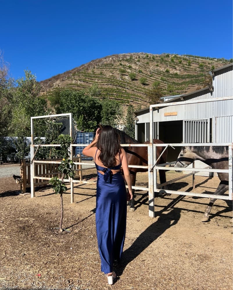 peppermayo dress - Image 2