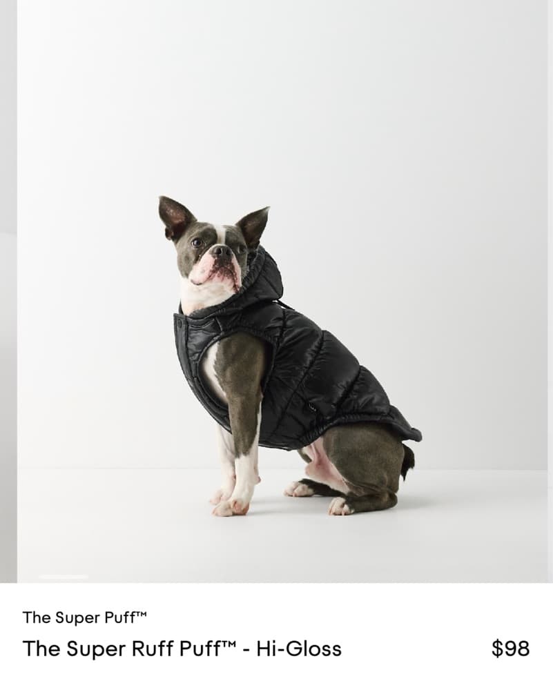 DOG - Aritzia Dog Super Puff (XL) - Image 1