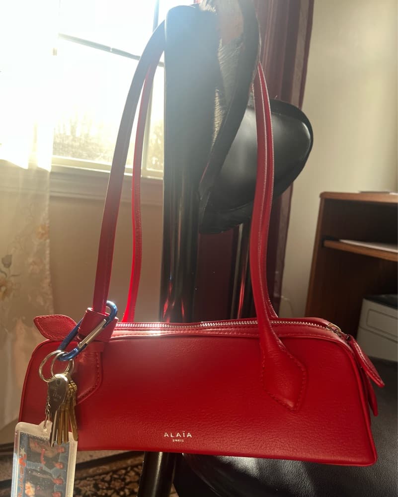 Vibrant Red Alaia Le Teckel - Image 5