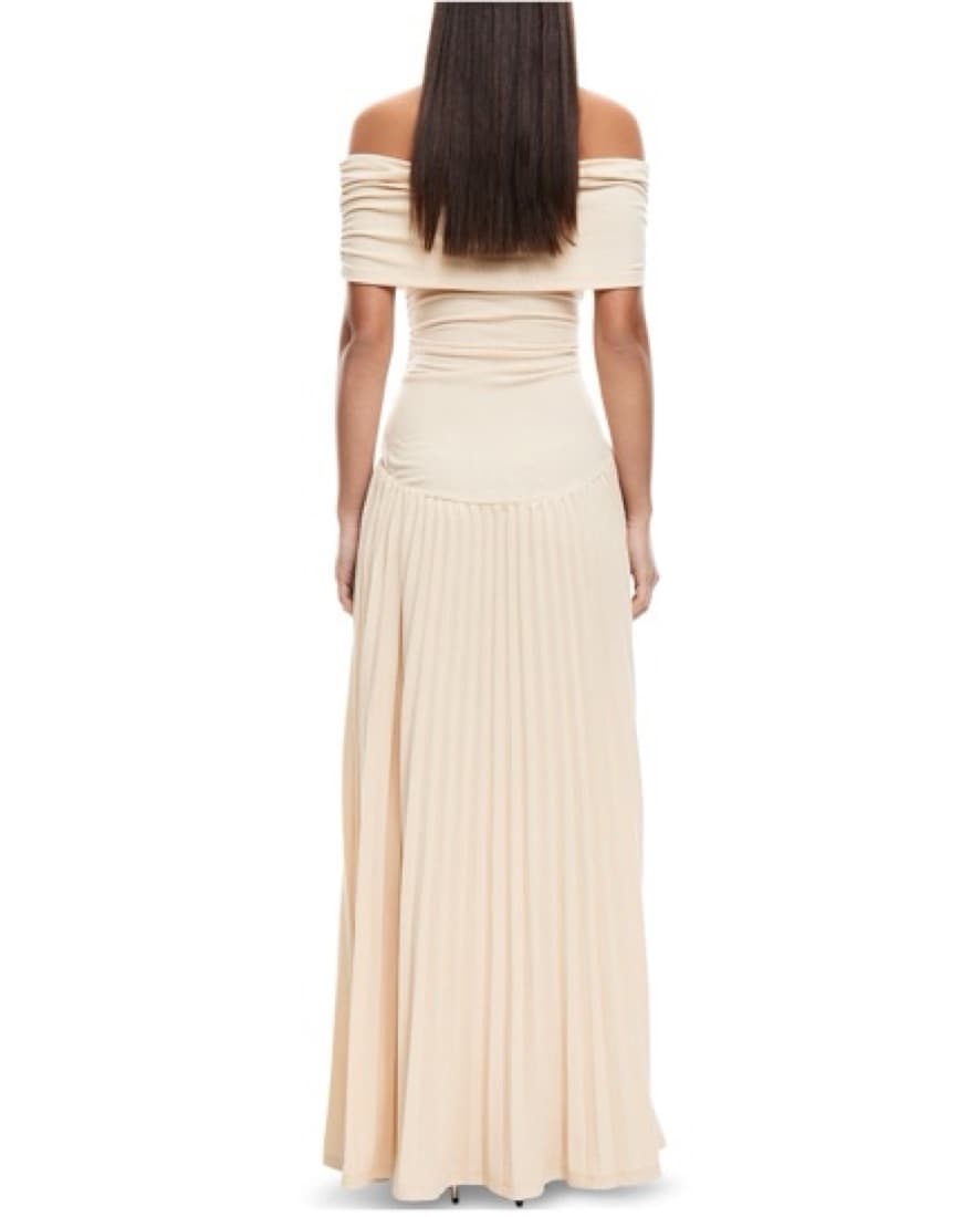 Lioness Field Of Dreams Dress - Image 3