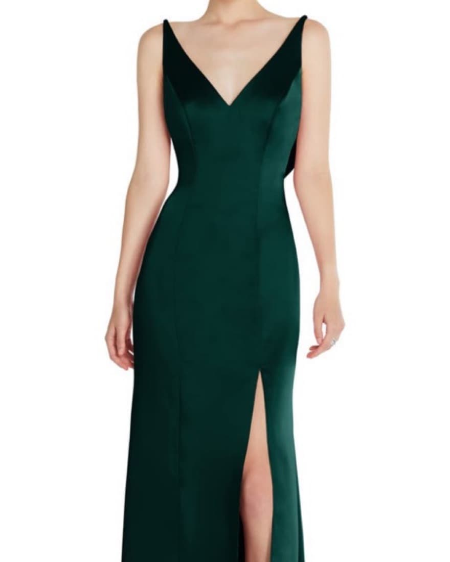 Champagne Gown  - Image 6