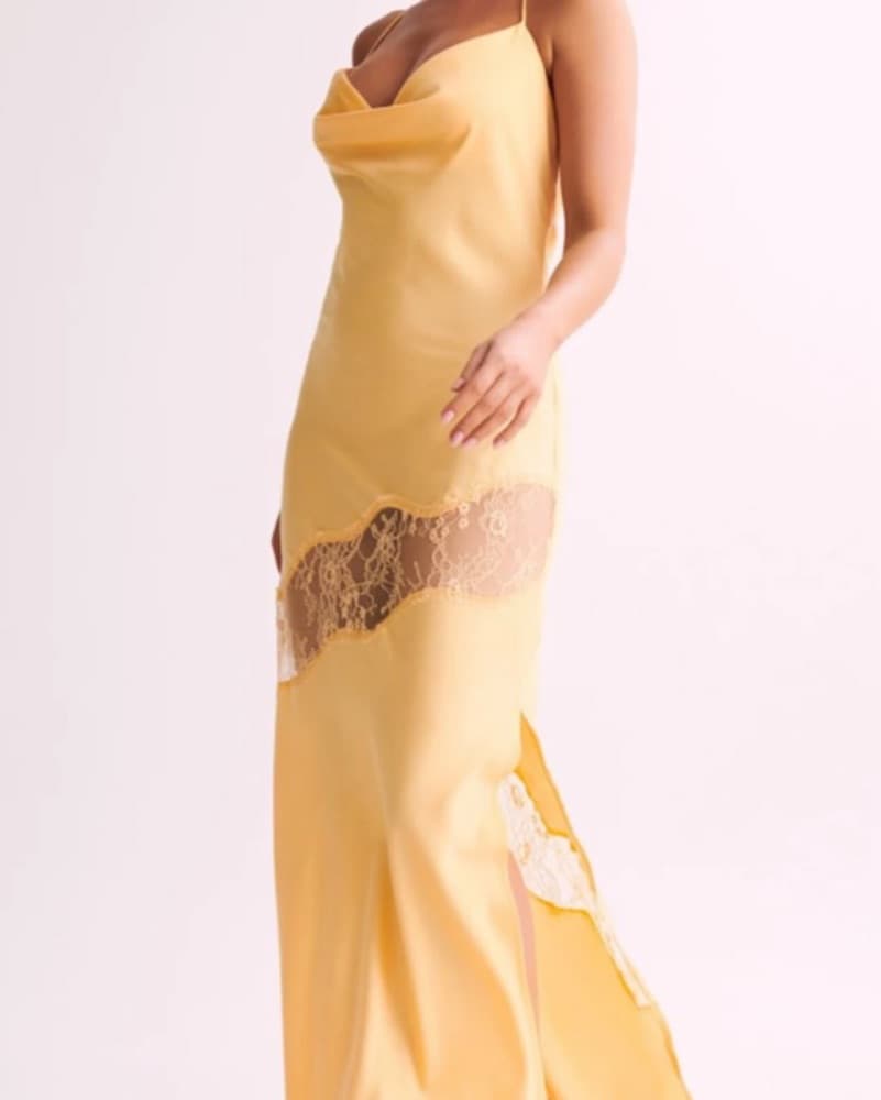 Meshki Chandra Lace Detail Satin Maxi  - Image 5