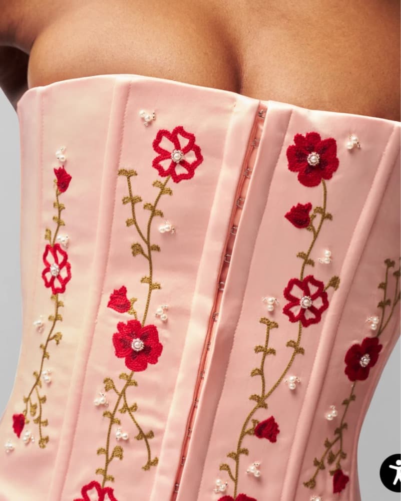 Danielle Guizio Ballet Slipper Corset - Image 3