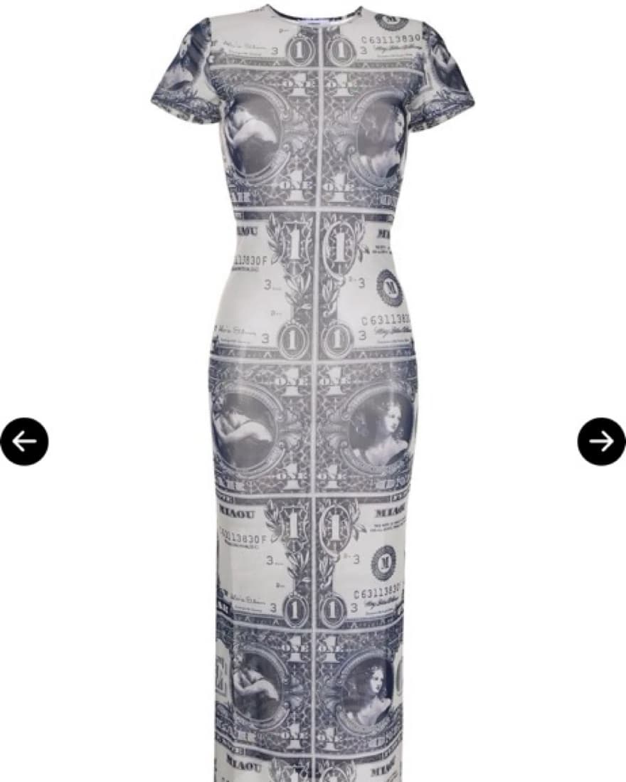 MIAOU MONEY PRINT DRESS - Image 6
