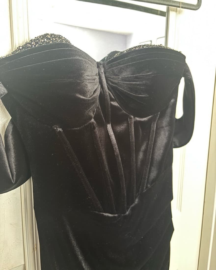 Passion Dress LA Corset Dress - Image 2