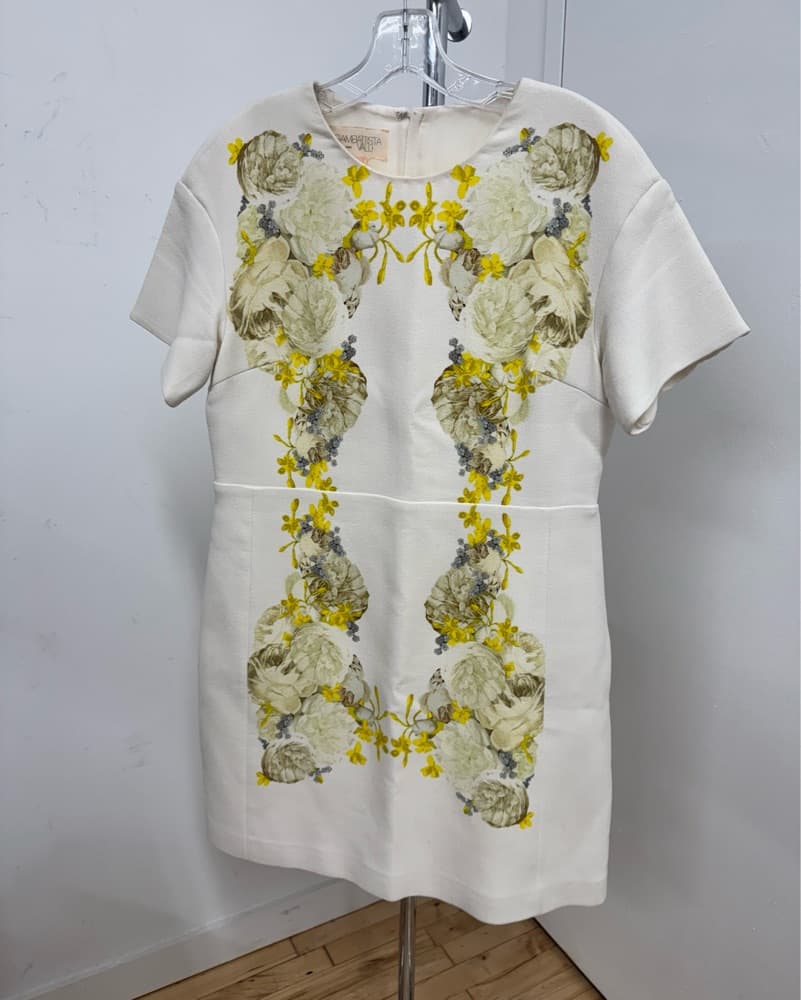 Giambattista Valli Dress  - Image 1