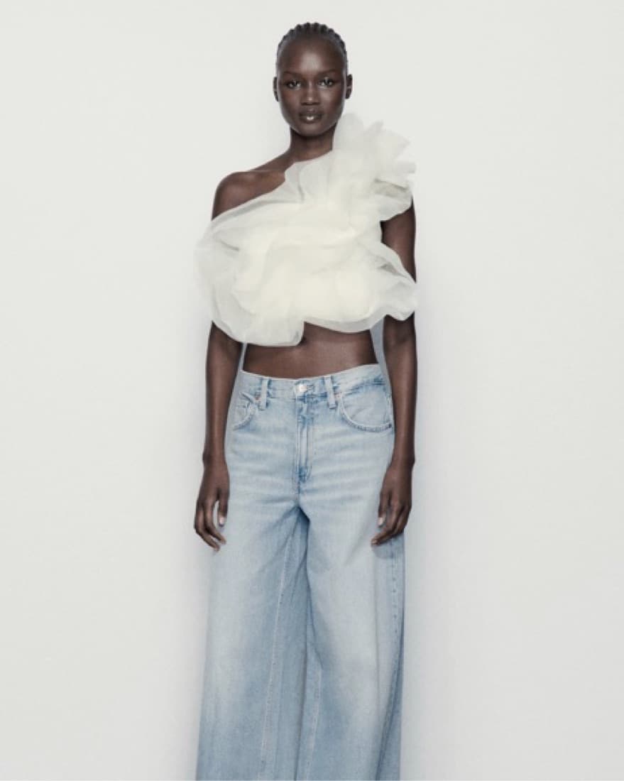 Zara Tulle Top - Image 2