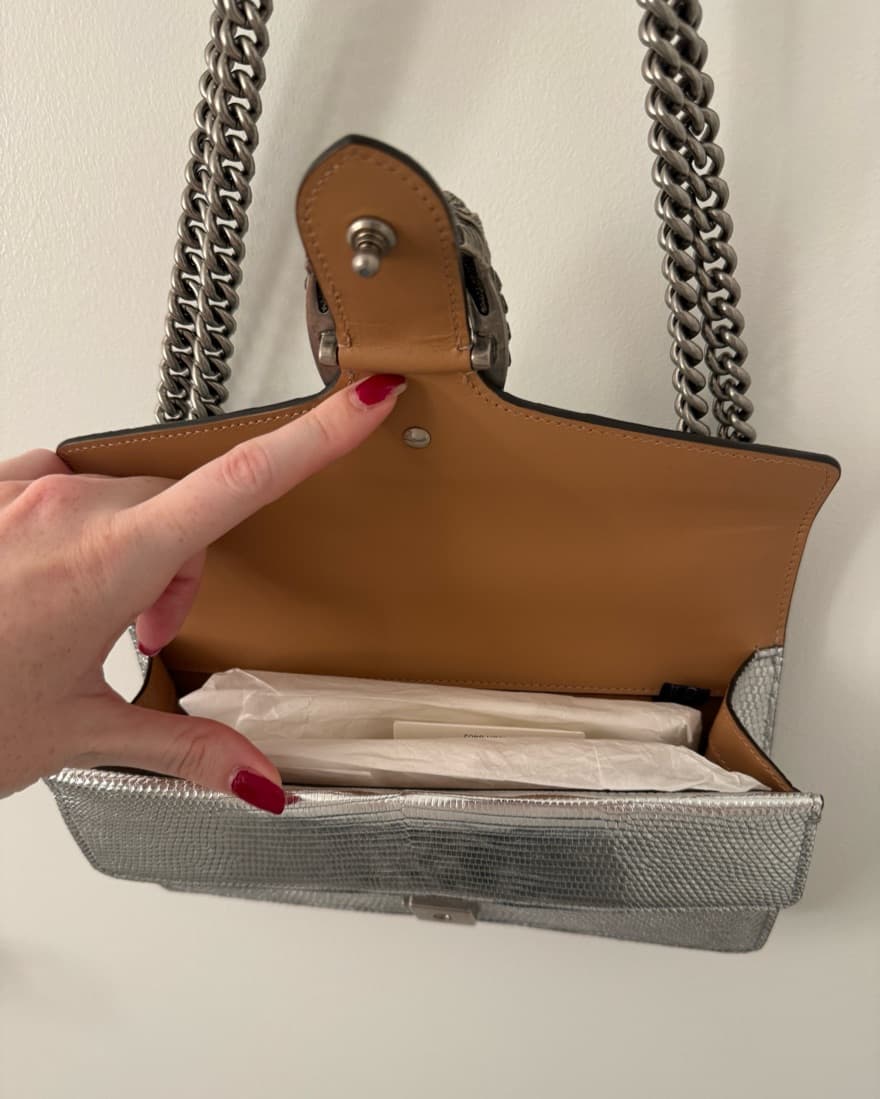 Gucci Dionysus Bag in Metallic Lizard - Image 5