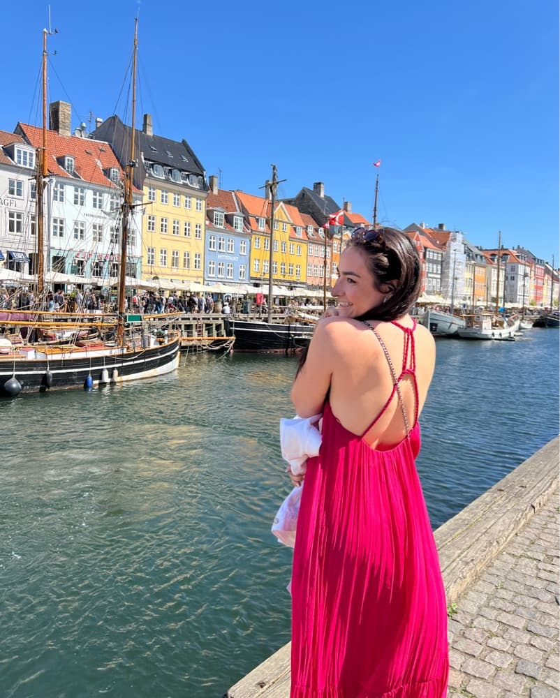 Pink Zara Midi Dress - Image 1