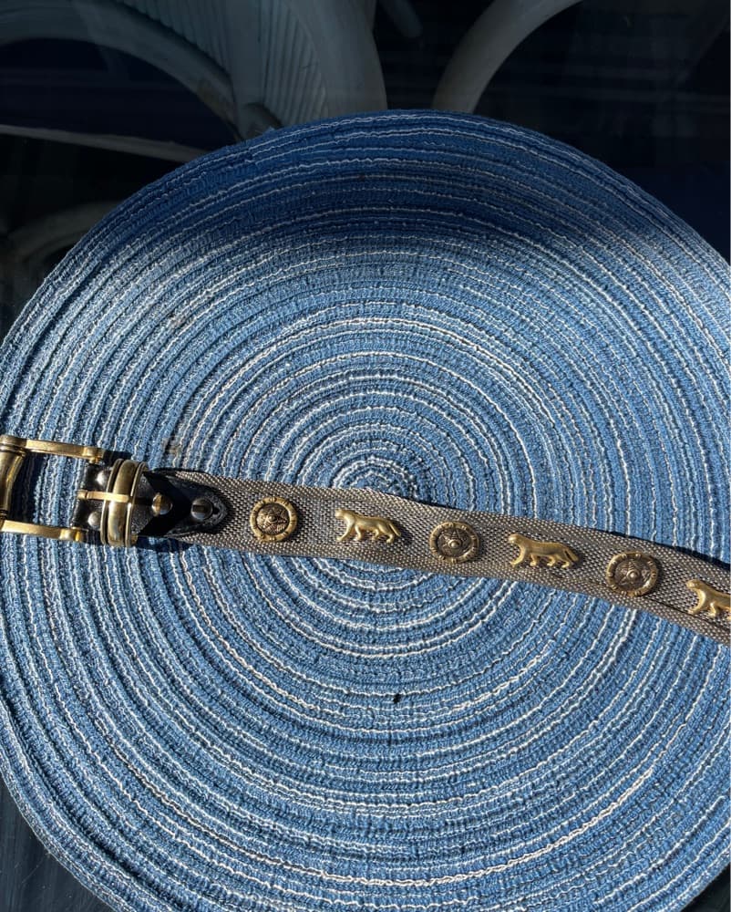 Chic Metal Jaguar Belt - Image 3