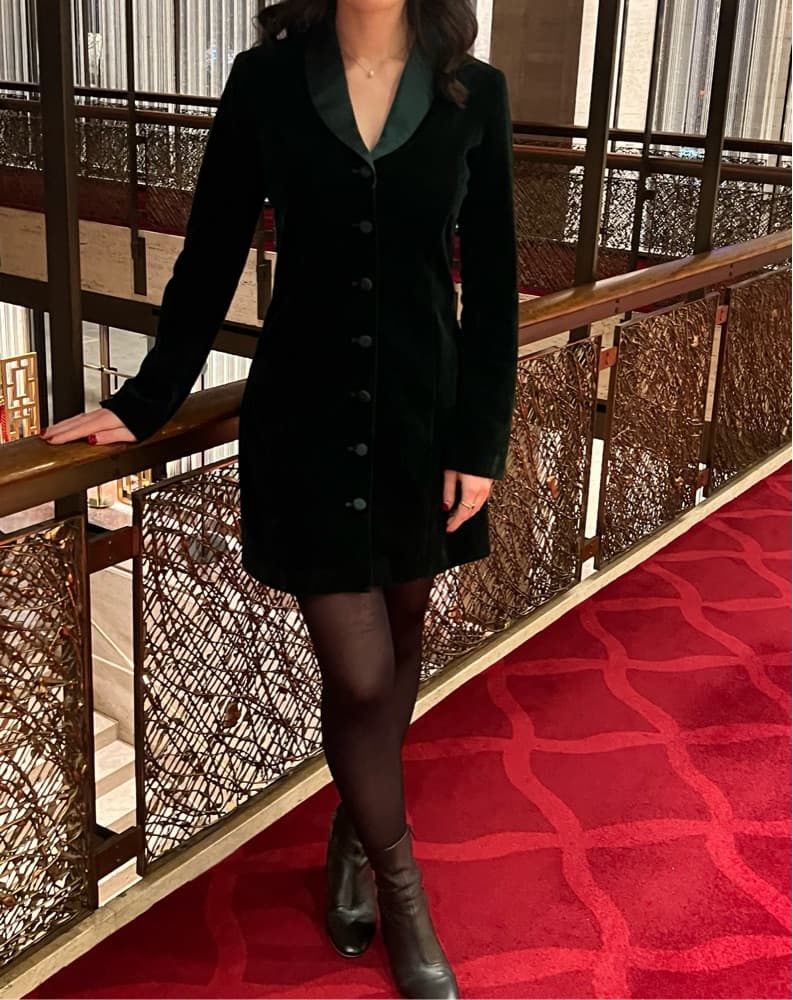 Green Velvet Tuckernuck Dress - Image 3