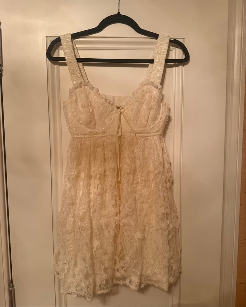 For Love And Lemons Lace Babydoll Dress  - Image 4