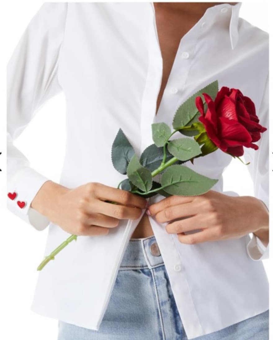 Alice + Olivia Willa Placket Top - Image 2
