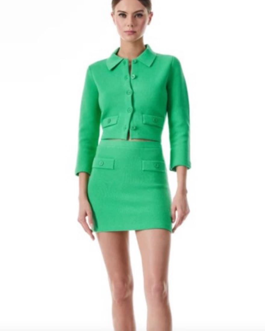 Alice + olivia mini skirt  - Image 3