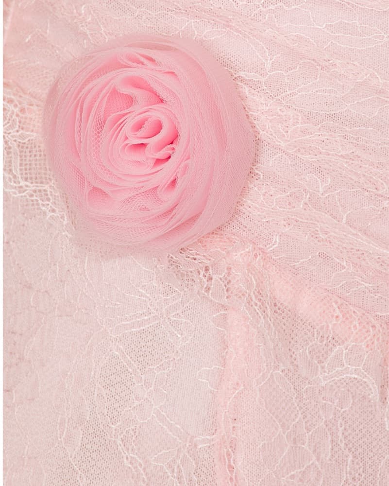 Revolve Blush Lace Gown - Image 5