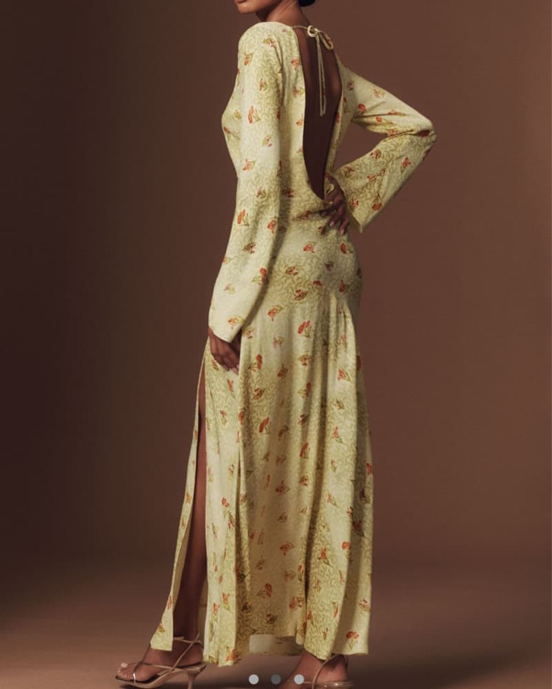 BHLDN Dani Longsleeve Open-back Dress - Image 2