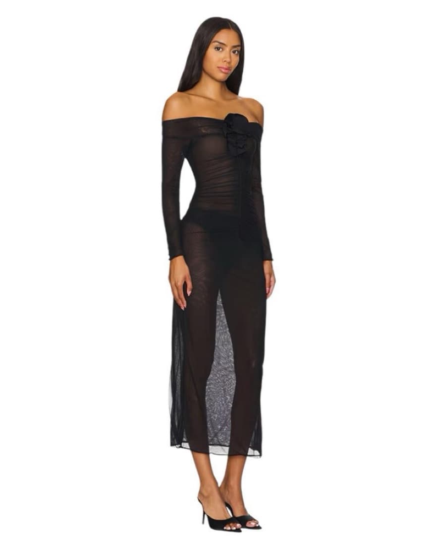 Heliosa Sheer Midi Dress In Ebony  - Image 2