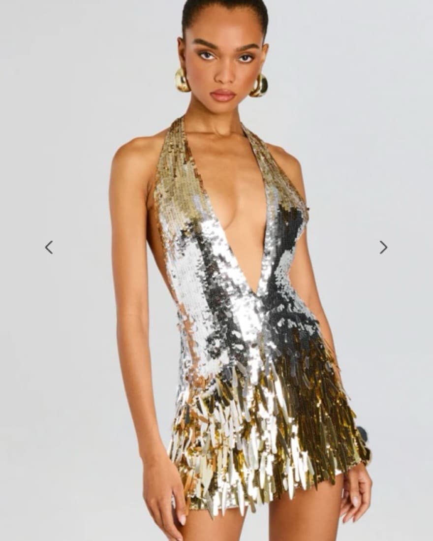 Sequin Silver/Gold Retrofete Dress - Image 4