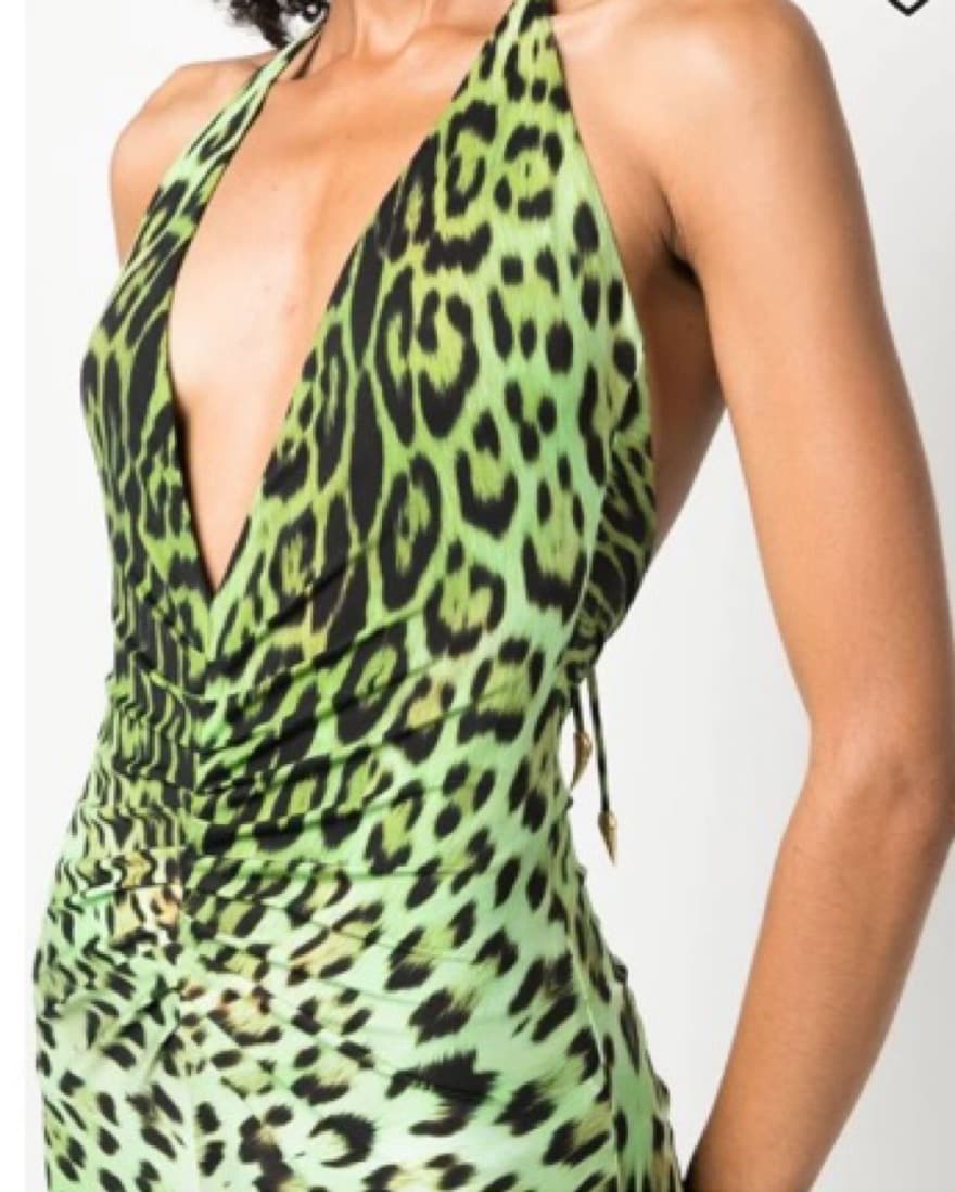Roberto Cavalli gown - Image 2