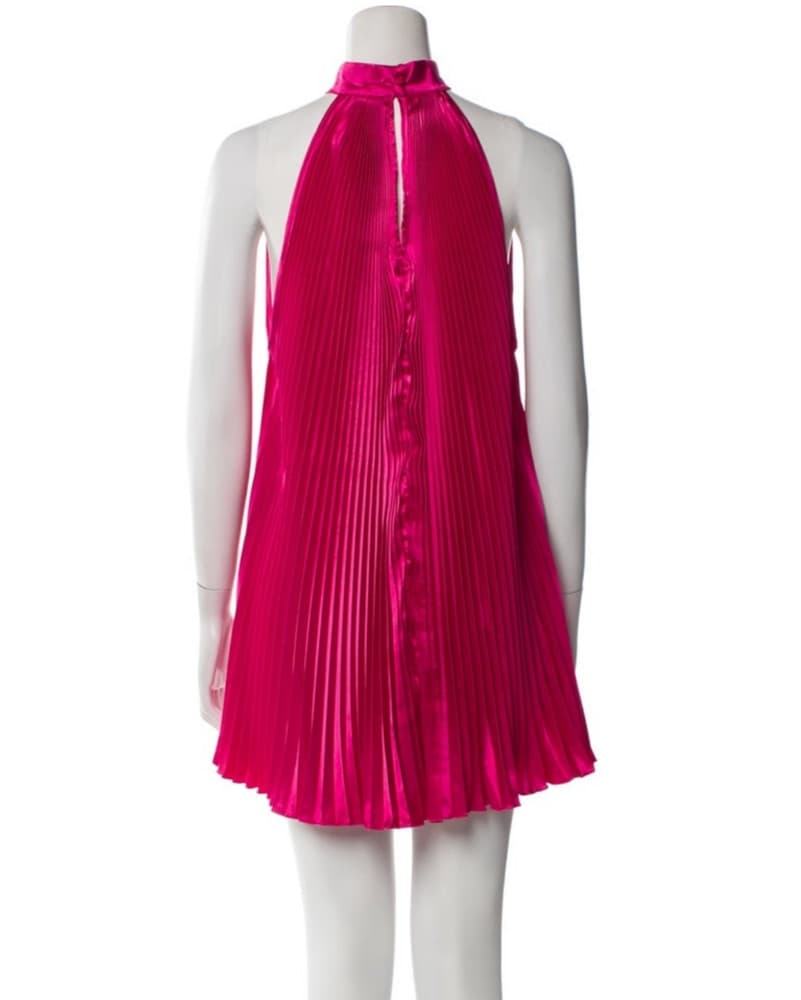 Lidee Fusha Mini Dress  - Image 3