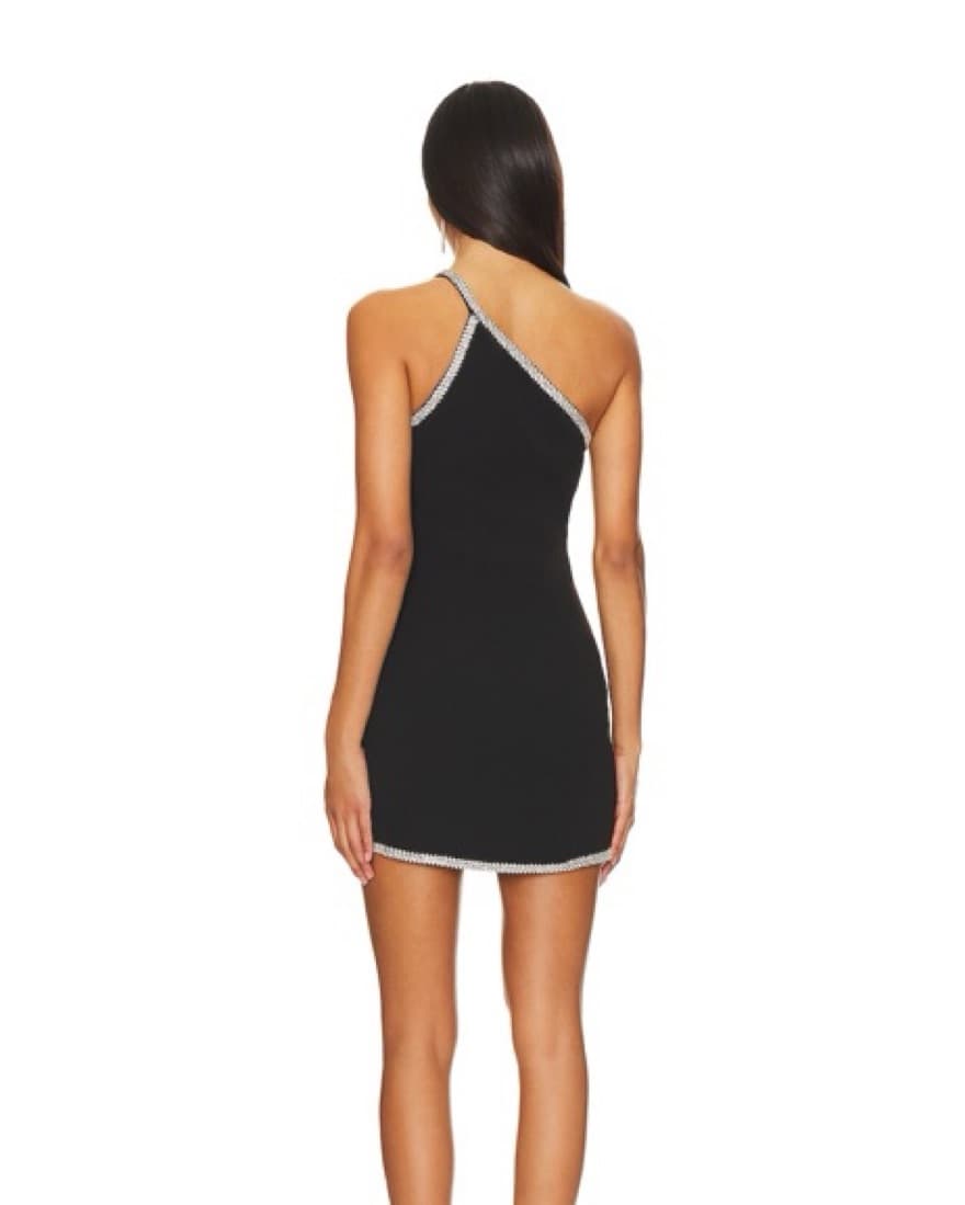 Lovers And Friends | Cosette Mini Dress - Image 3