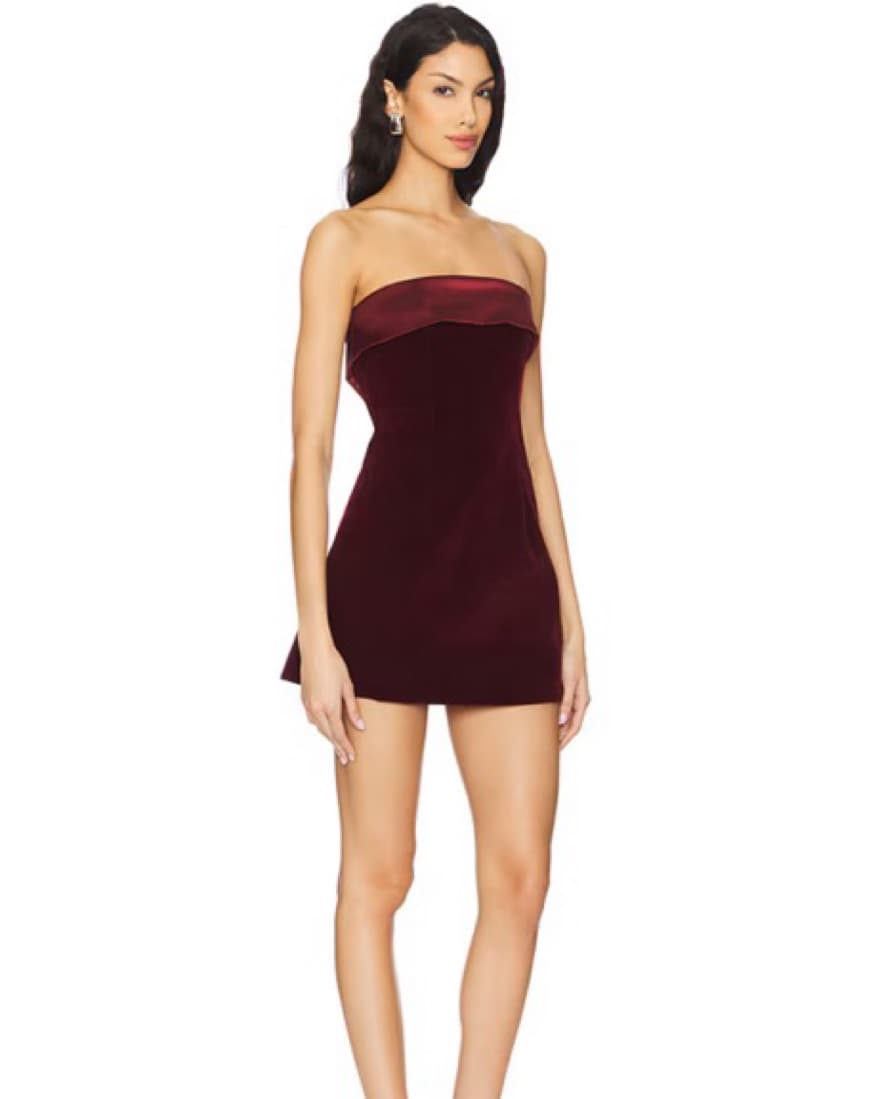 Vivika Velvet Mini Dress - Plum - Image 1