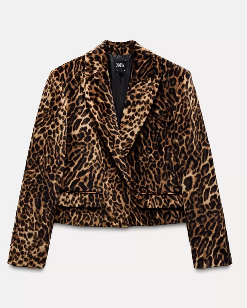Zara Leopard Print Velvet Blazer & Skirt - Image 4
