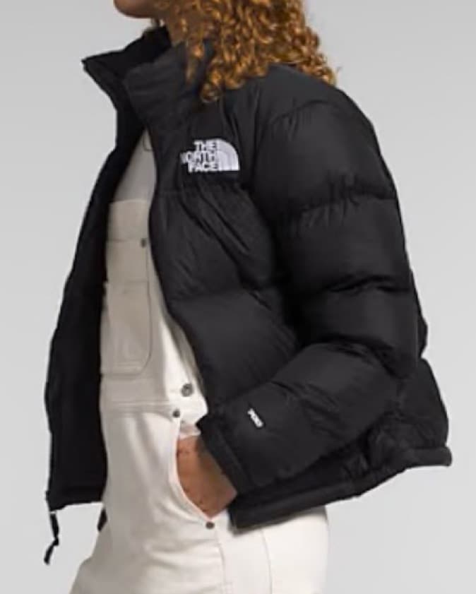 North Face Puffer - Image 3