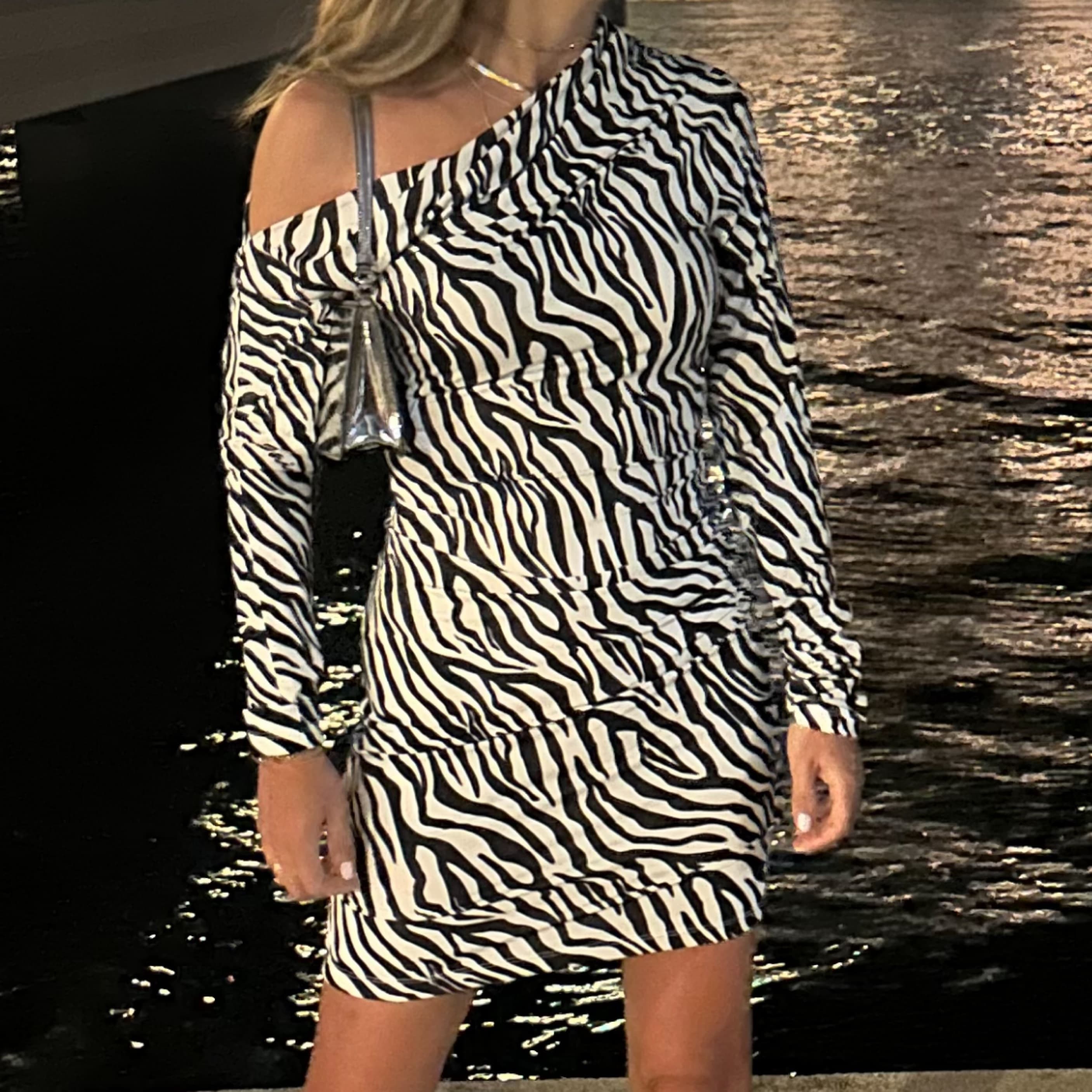 DAISY ZEBRA PRINT MINI DRESS  - Image 3