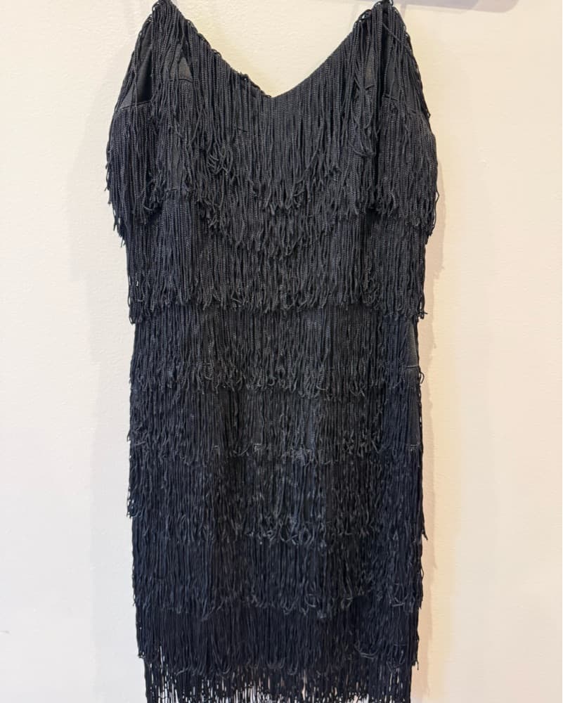 Vintage Fringe Flapper/gatsby/1920 Dress - Image 5