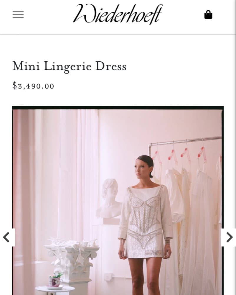 Wiederhoeft Mini Lingerie Dress - Image 6