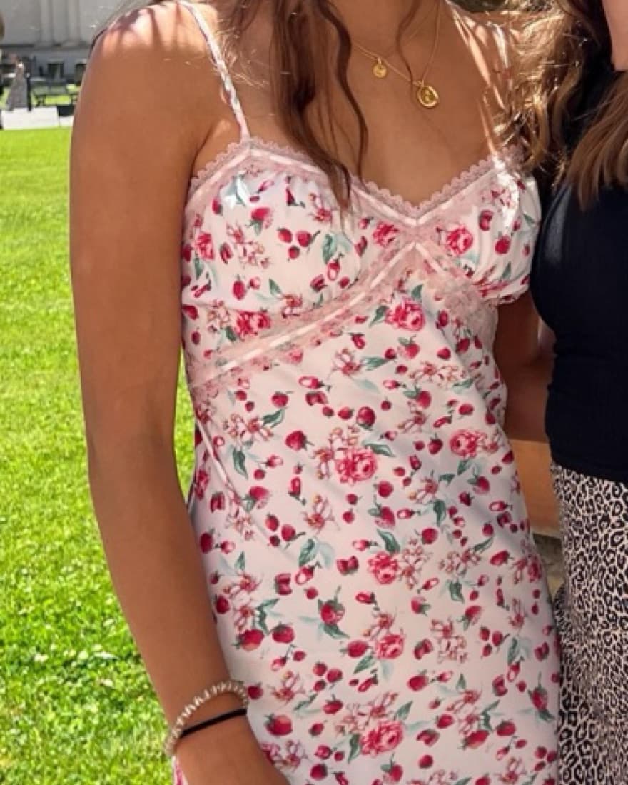 Steve Madden Starwberry Dress - Image 3