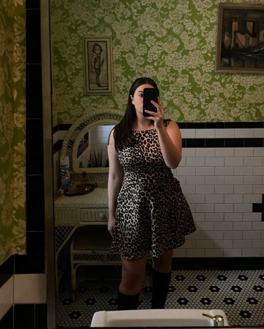 Reformation Leopard Print Mini Dress - Image 1