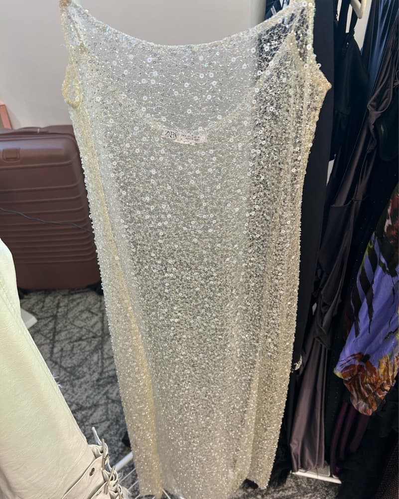 Zara Sheer Dress - Image 1