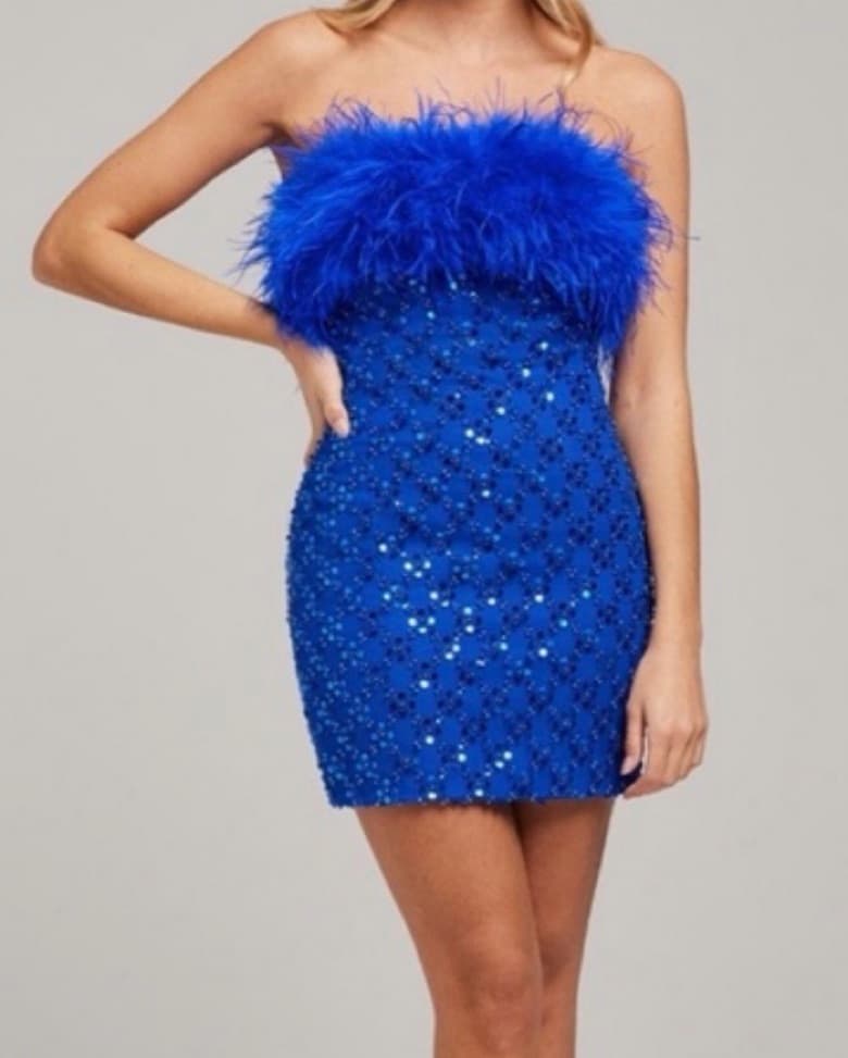Glamorous Rhinestone Feather Dress - Image 1