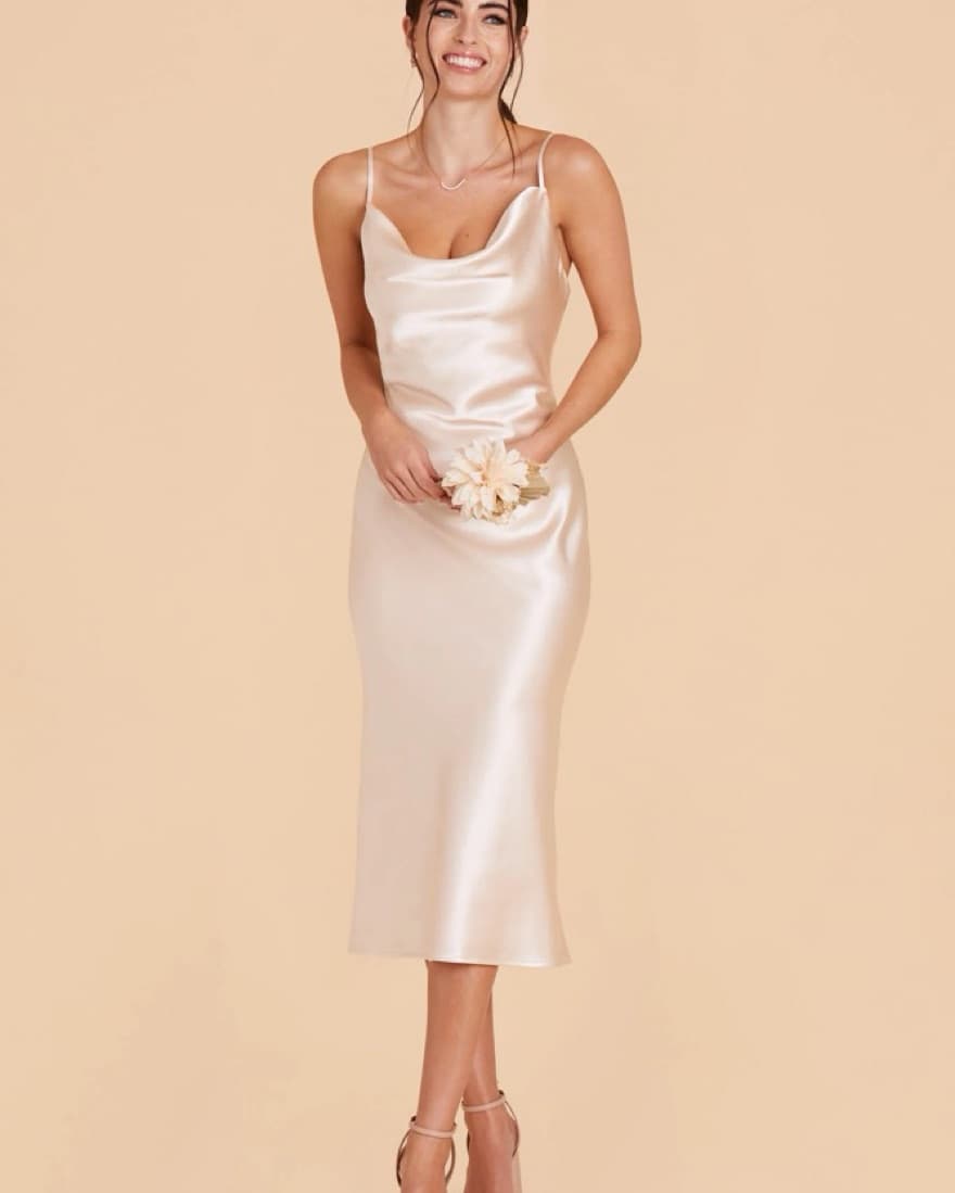Birdy Grey Champagnae Dress - Image 1