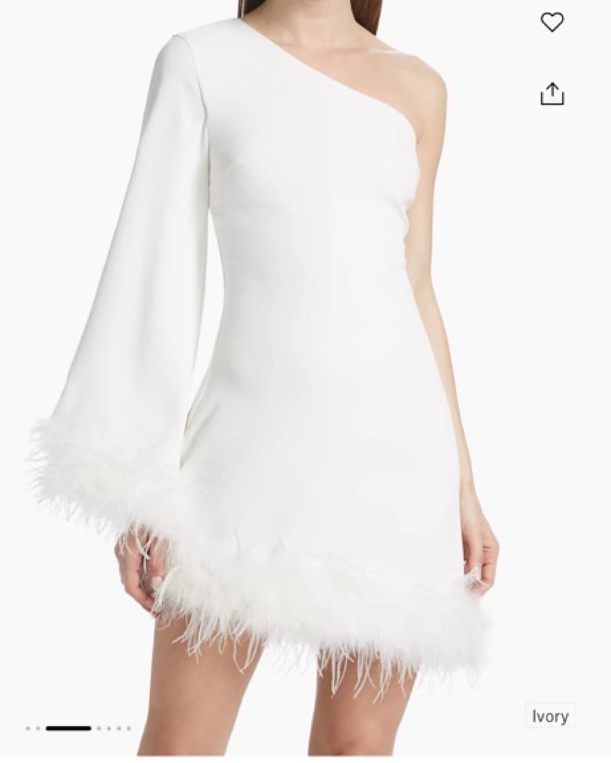 Guinevere Feather-Trim Dress - Image 1