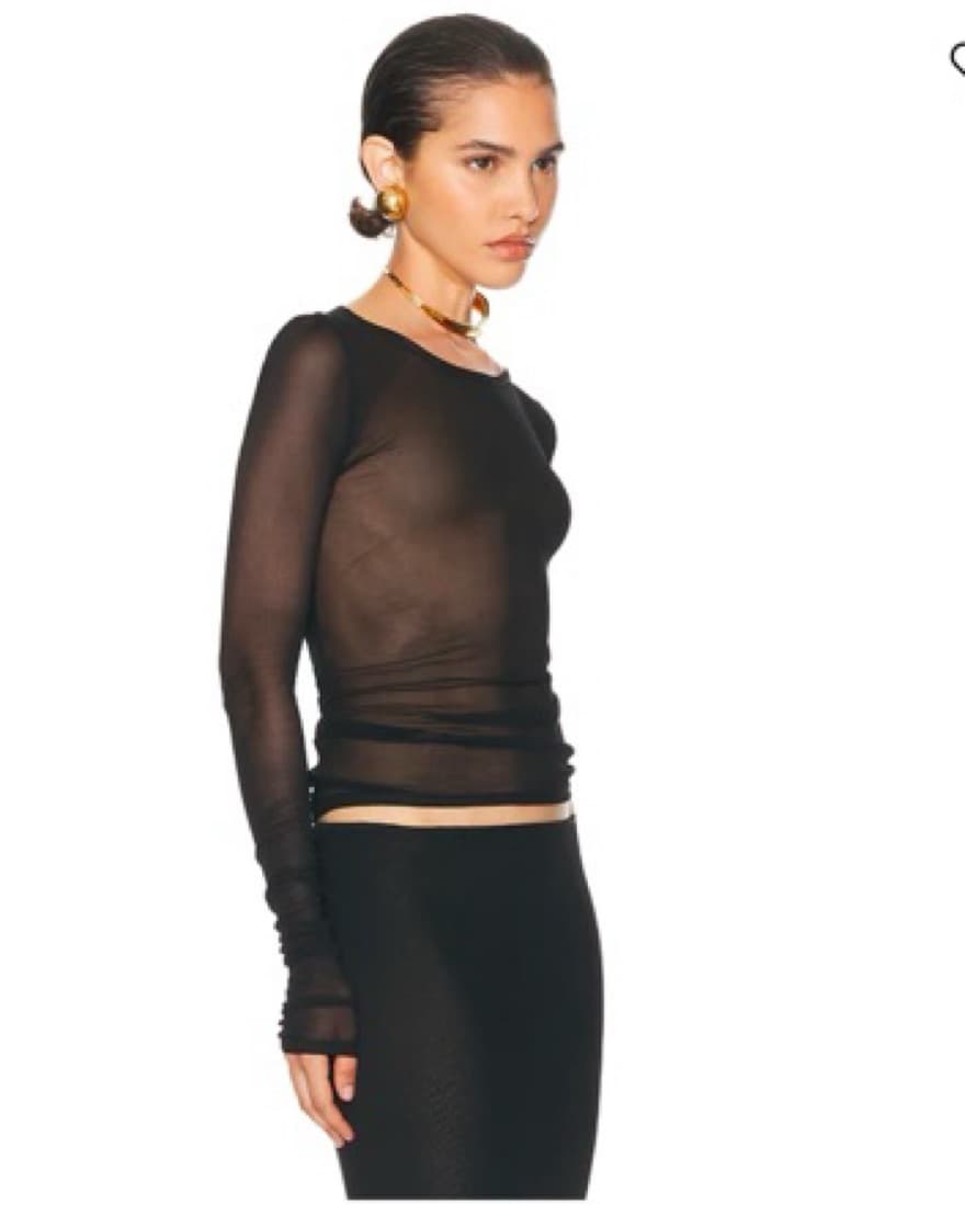 Helsa Sheer Longsleeve Top  - Image 2