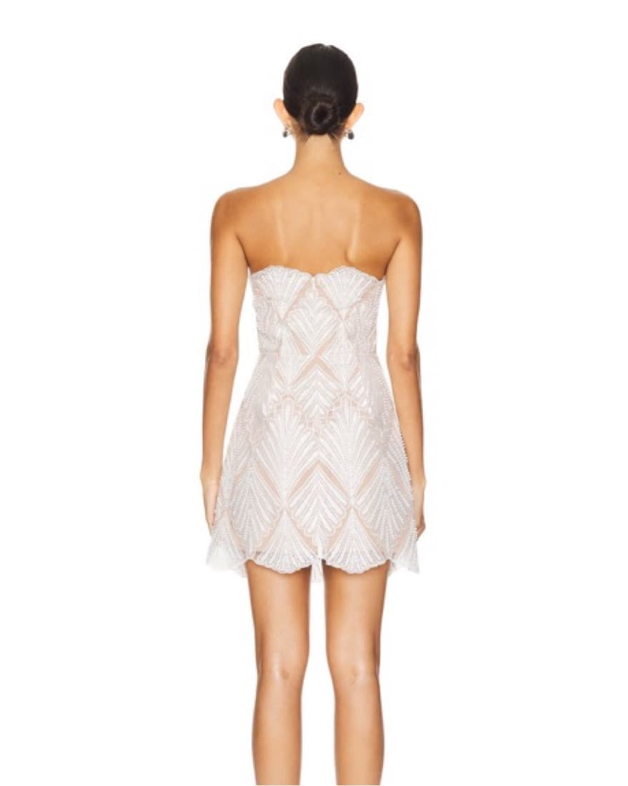 Harper Dress In Ivory & Nude  - Image 4