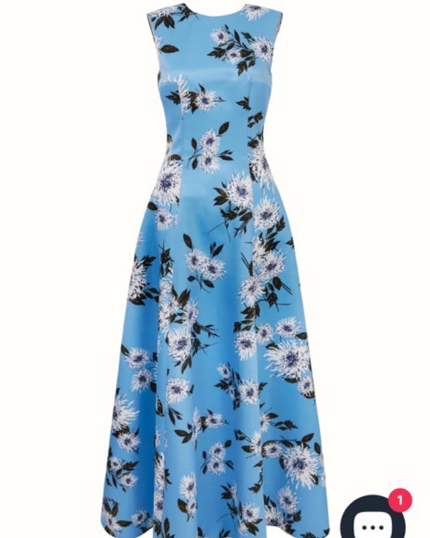 Emilia Wickstead Nodin Gown - Image 1