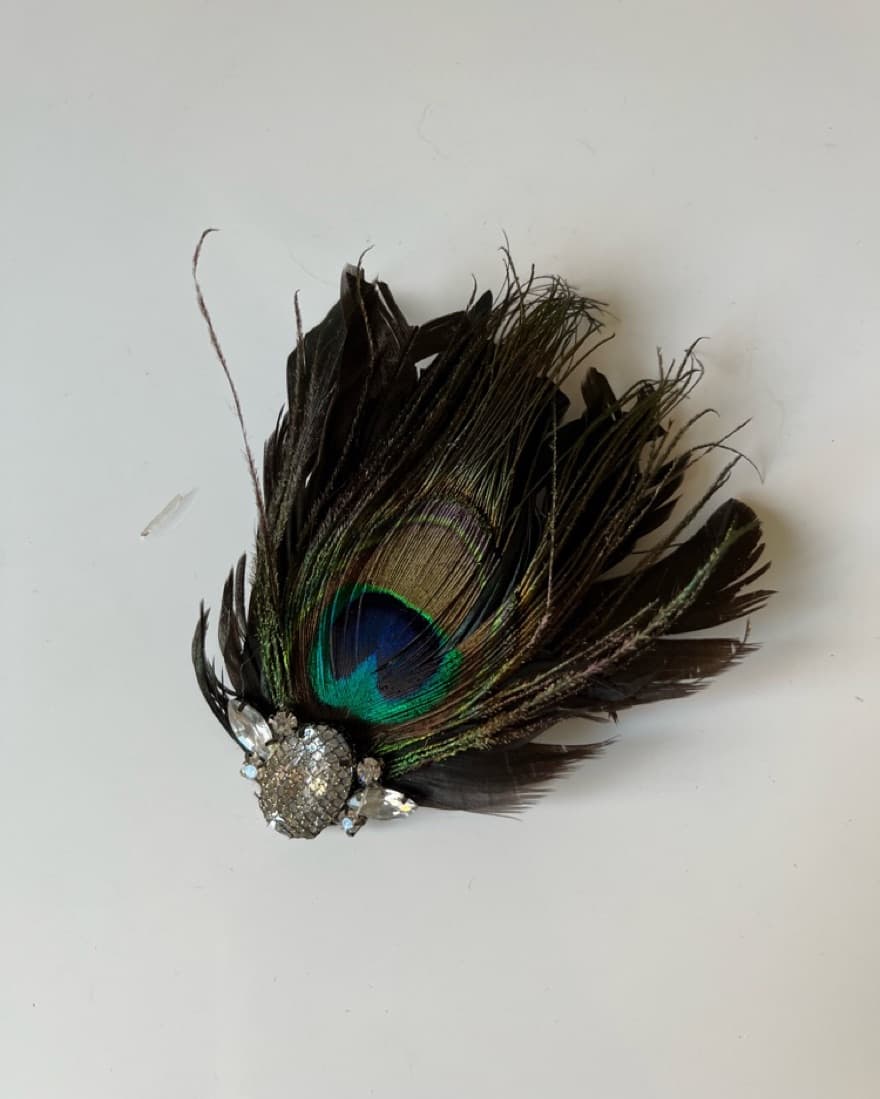 Peacock Costume - Image 5