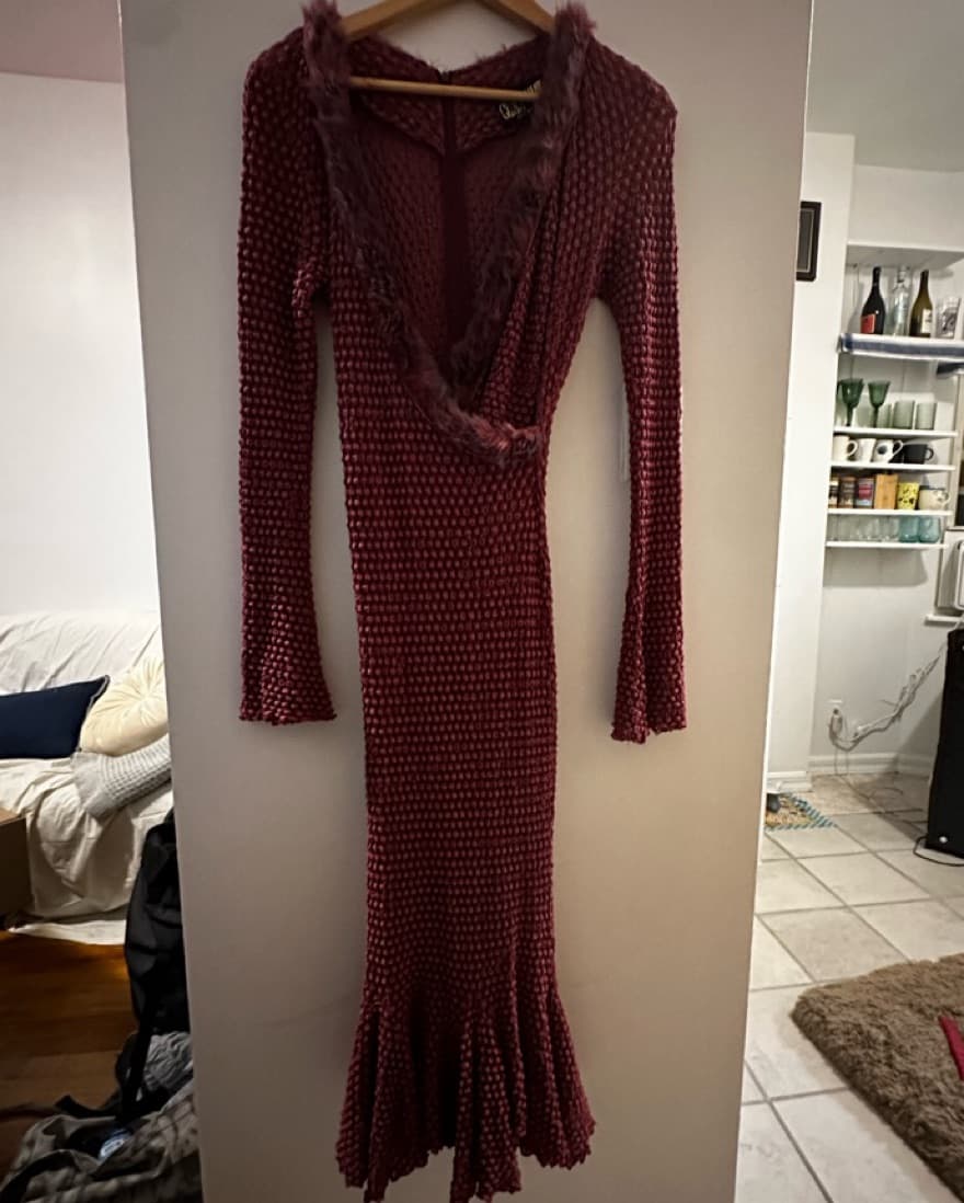 Fuchsia Sheer Dress - Image 4