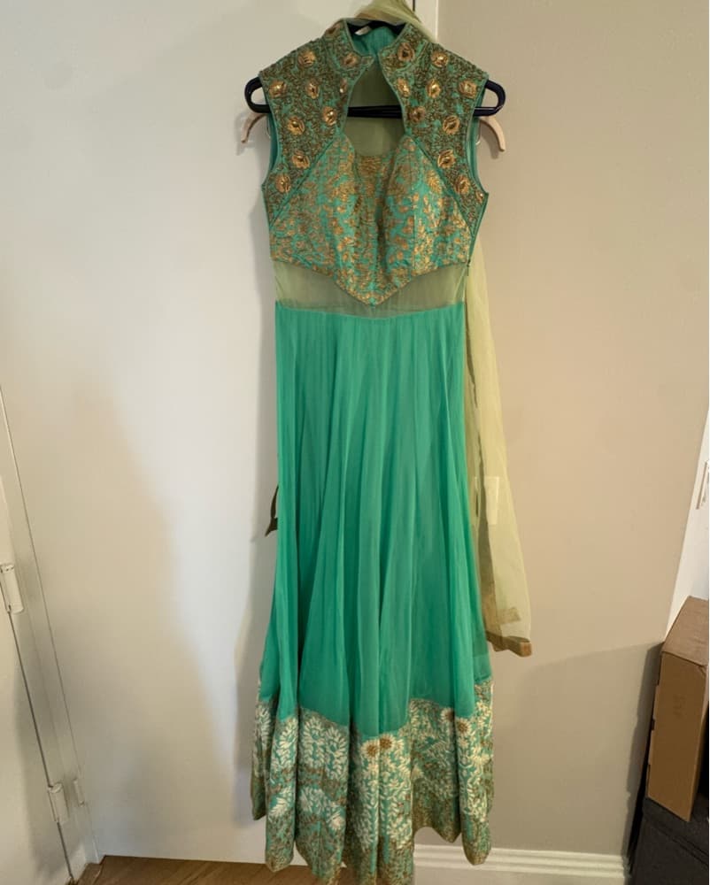 Indian Long Dress Style With Mesh - Image 3