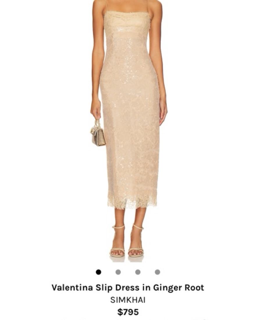 Simkhai Slip Dress - Image 1
