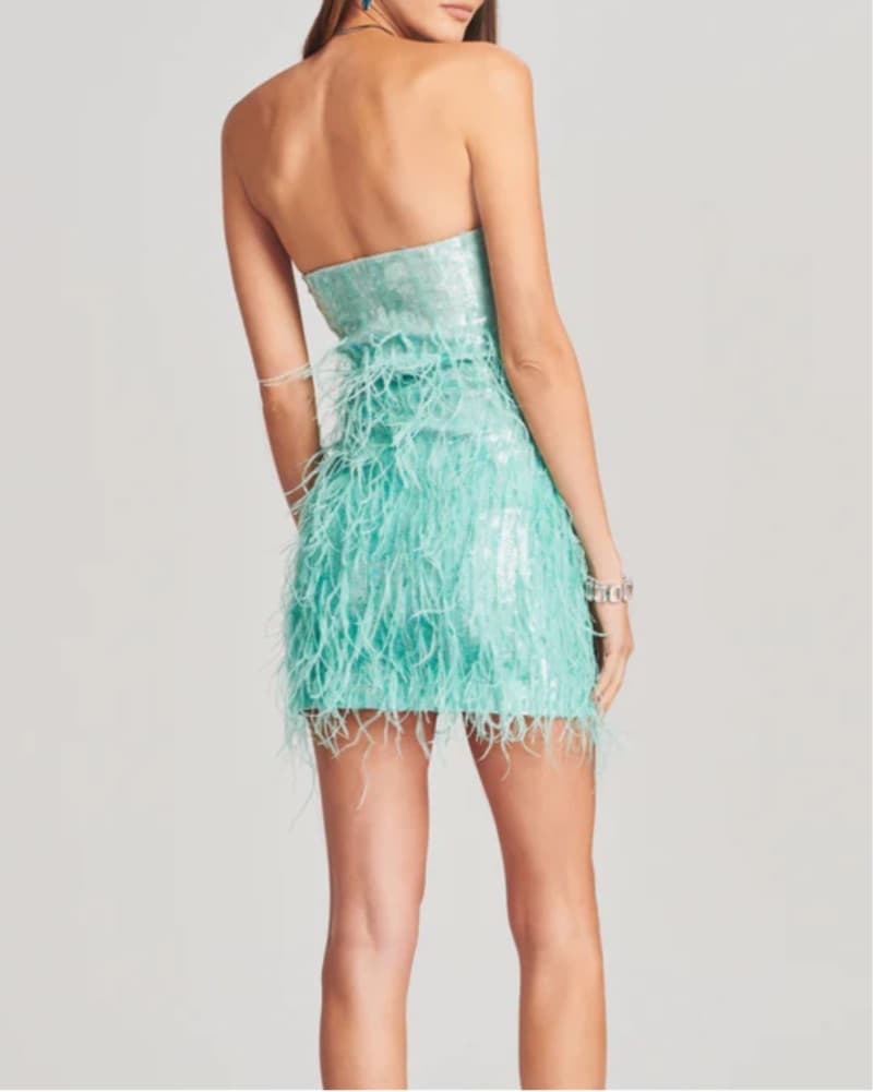 Retrofete Anastasia Sequin Feather Dress - Image 3