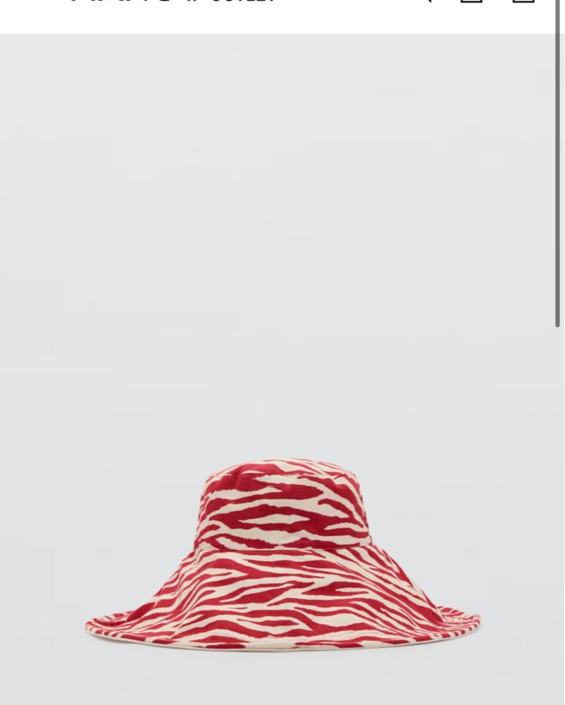 Red Zebra Bucket Hat - Image 2