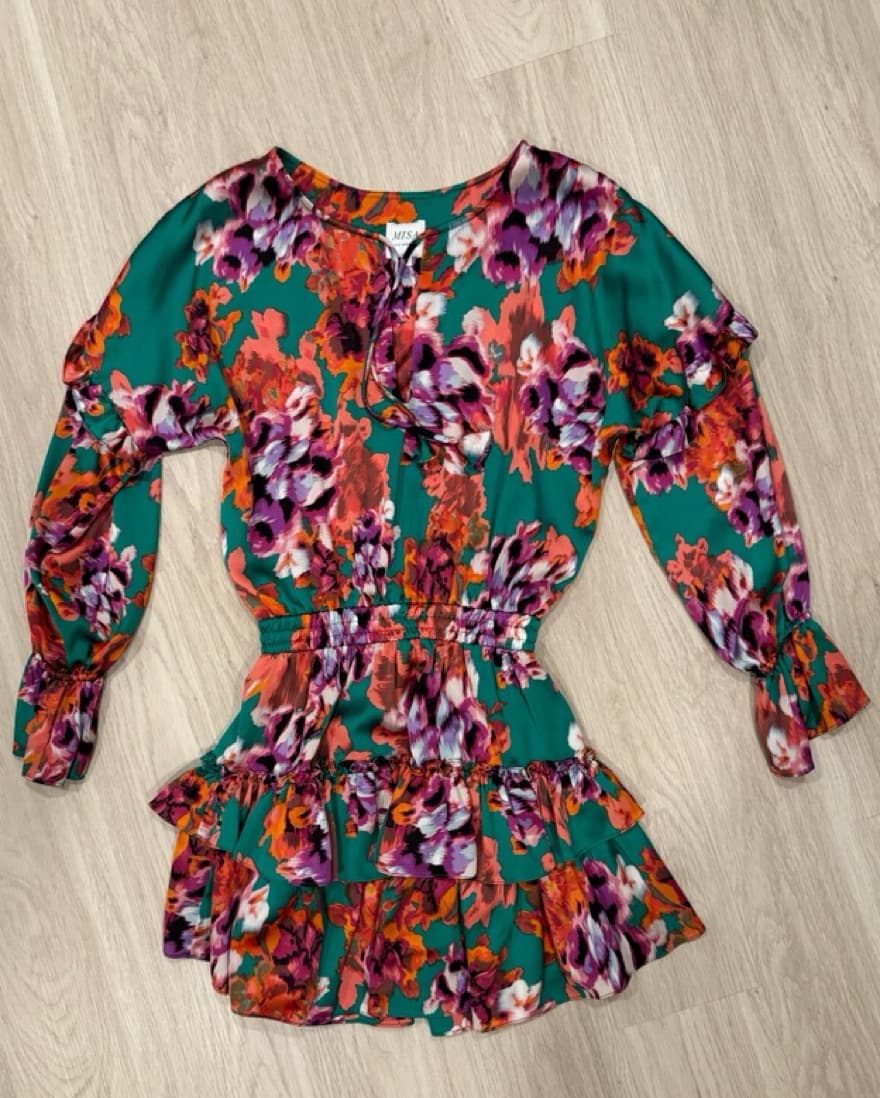 💚MISA Los Angeles💚Amalya Floral Dress - Image 2