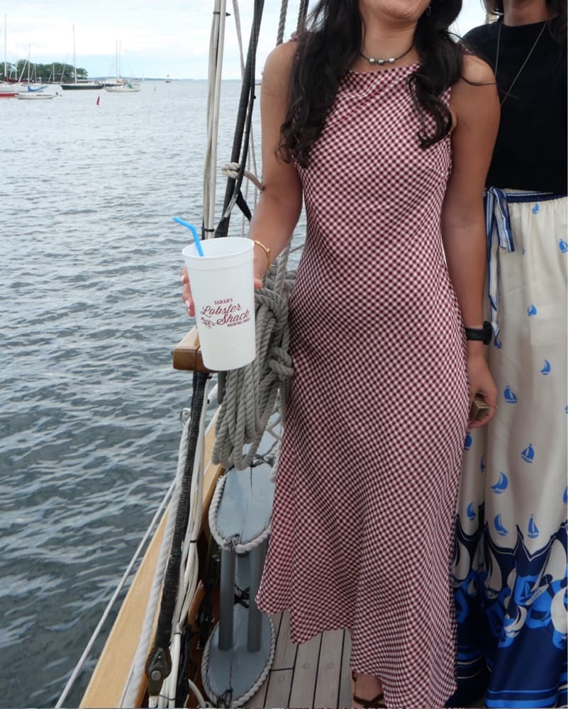 Doen mariselle dress - Image 3
