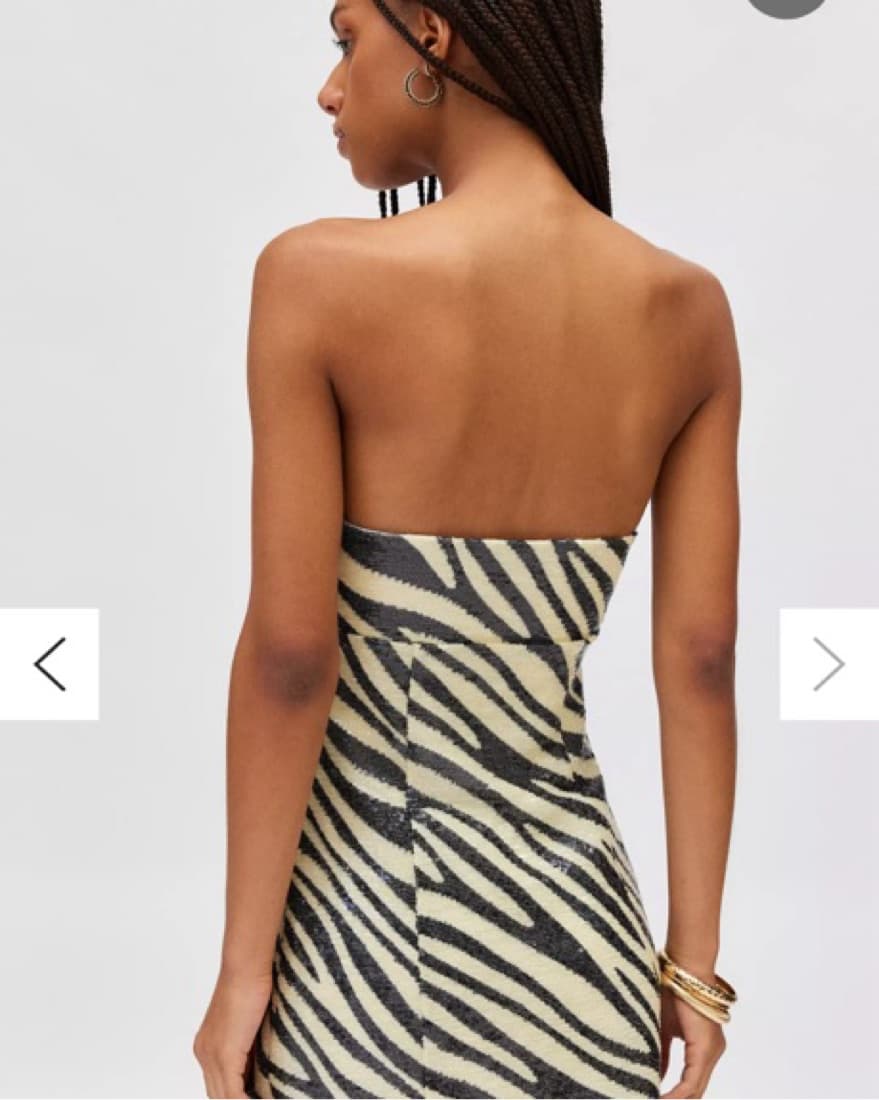 Urban Outfitters Sequin Zebra Mini Dress - Image 4